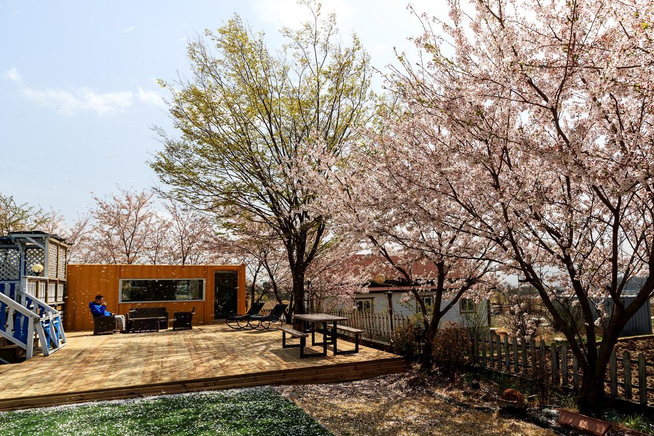 Polaris Tourist Pension คยองจู ภายนอก รูปภาพ